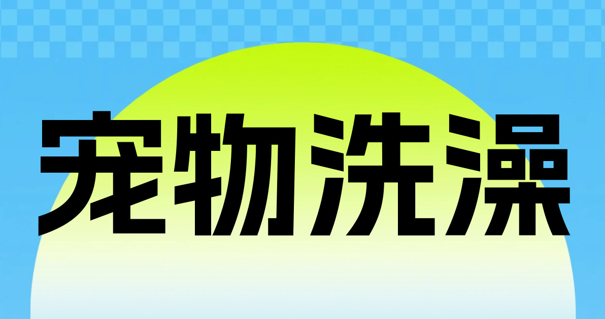 宠物洗澡