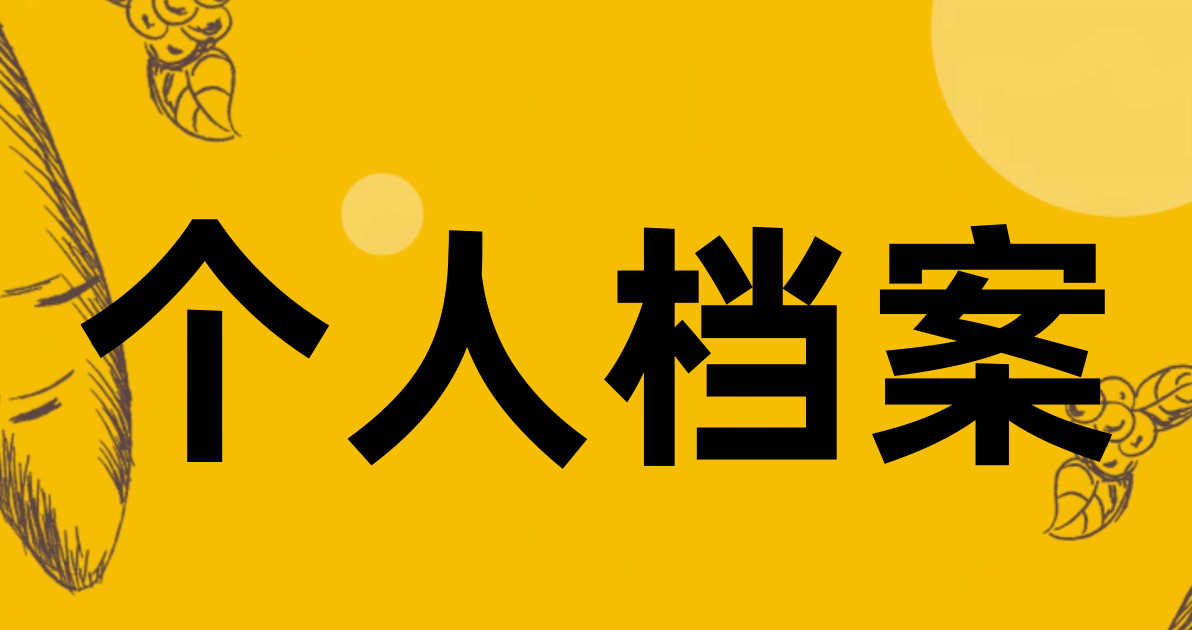 个人档案