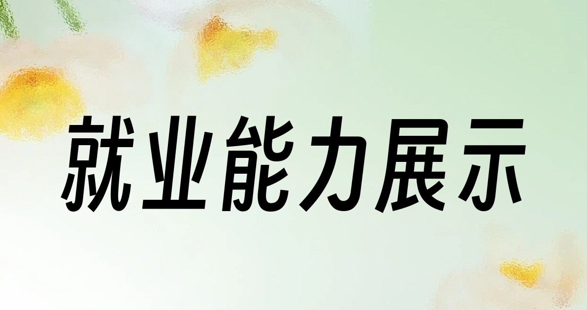 就业能力展示