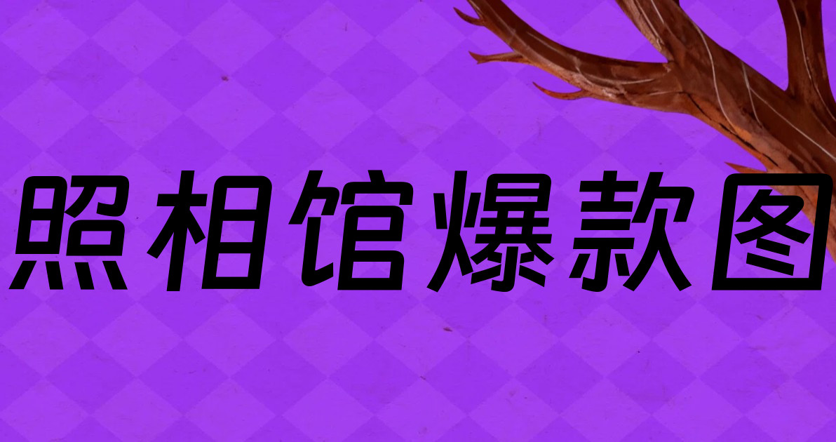 照相馆爆款图